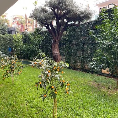 Cosy Flat, Kleopatra Alanya